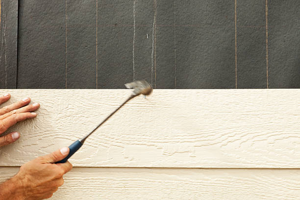 Best Insulated Siding Installation  in Batavia, IL